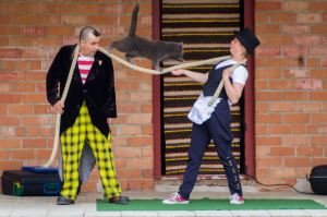 13320397_1206716262716308_6393903543006378341_o